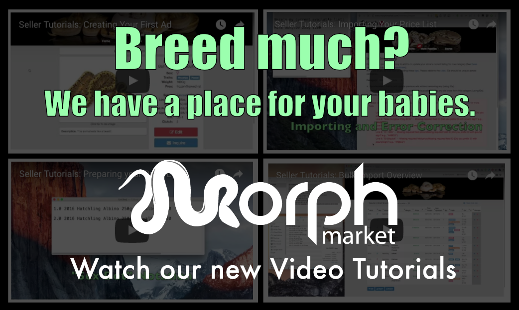 Seller Video Tutorials