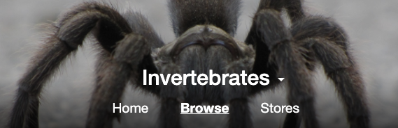 Inverts Categories Added