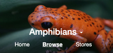 Amphibian Categories Added